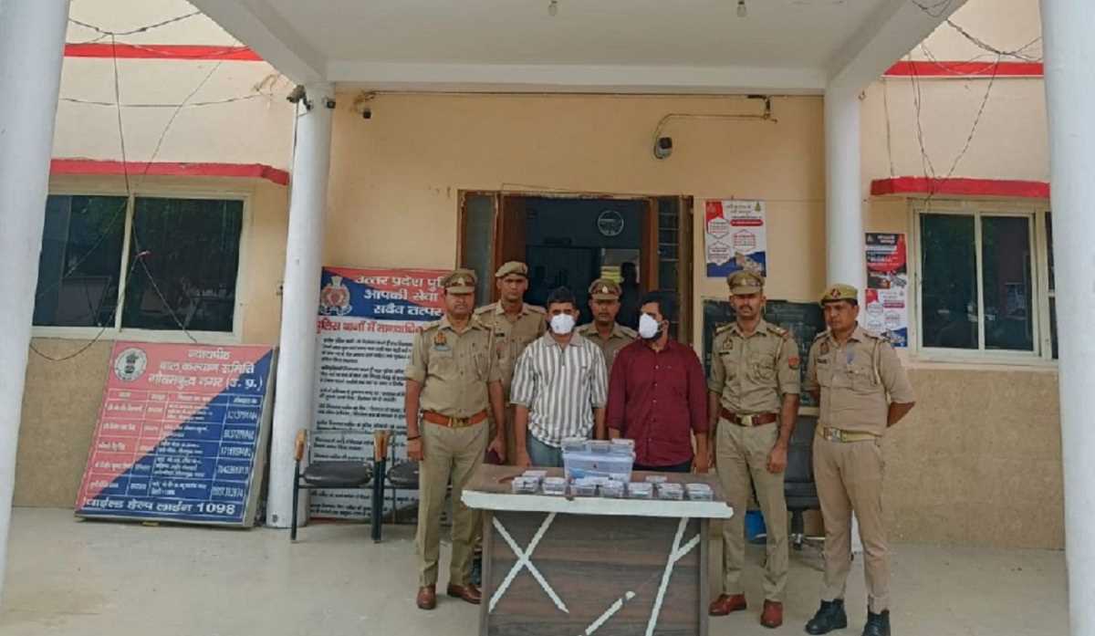 नोएडा में लोन और बीमा पॉलिसी के नाम पर धोखाधड़ी करने वाले 11 गिरफ्तार